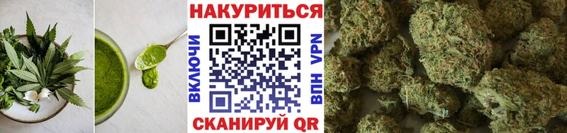 Cannafood конопля  Купить закладки  Грязовец 
