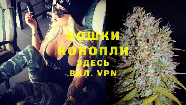 дмт Белокуриха