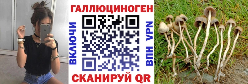 Галлюциногенные грибы Psilocybine cubensis  Купить закладки  Грязовец 
